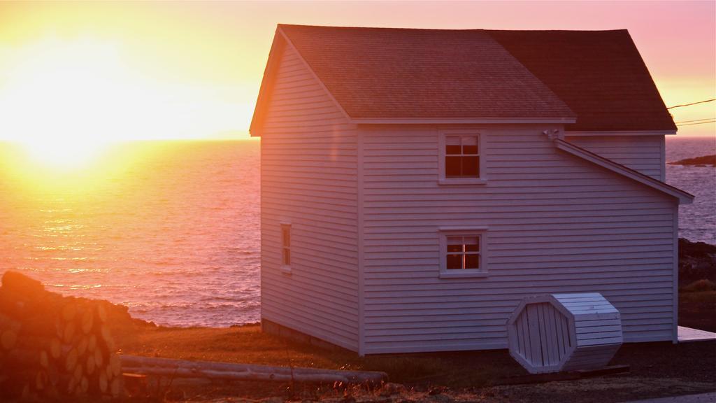 The Old Salt Box Co. - Grandma Lilly'S Villa Fogo Island Exterior photo